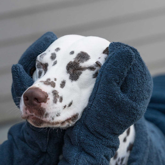 Introducing the ultimate bamboo dog drying mitts in beautiful Navy, made from luxurious bamboo to aid sensitive skin featuring universal size to fit all with super absorbent material for easy pet drying! The perfect dog drying gloves, available now at Lords & Labradors US, In four colors!