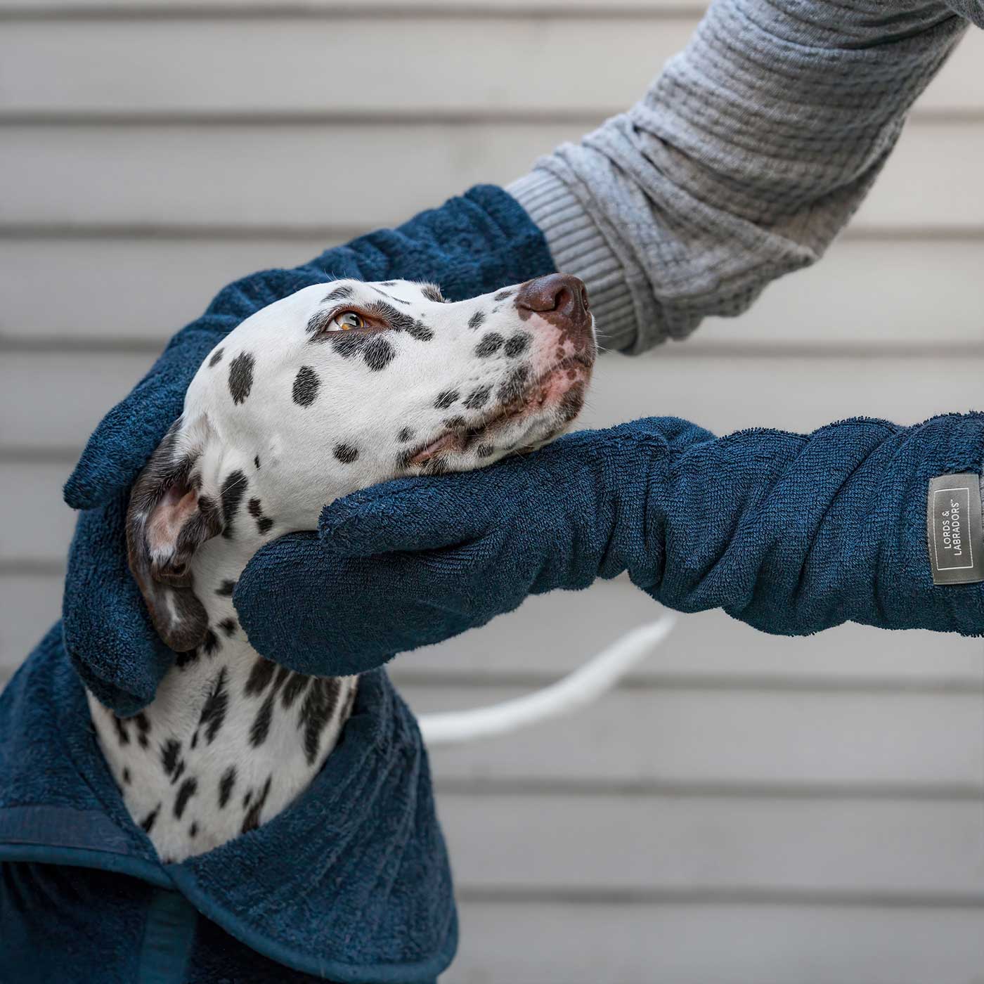 Introducing the ultimate bamboo dog drying mitts in beautiful Navy, made from luxurious bamboo to aid sensitive skin featuring universal size to fit all with super absorbent material for easy pet drying! The perfect dog drying gloves, available now at Lords & Labradors US, In four colors!