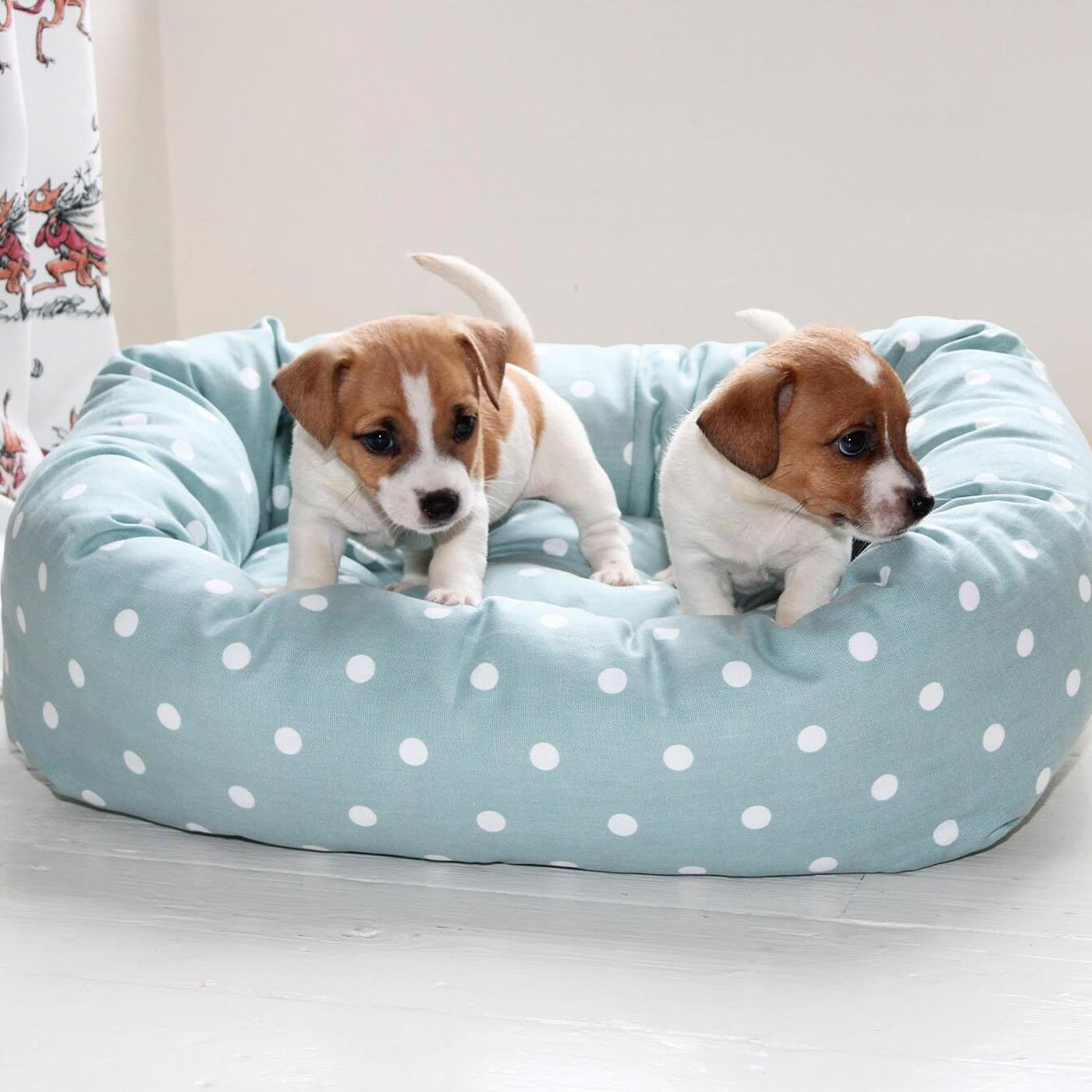 [color:duck egg spot] Cozy & Calming Puppy Cage Bed in Spots and Stripes, The Perfect Dog Cage Accessory For The Ultimate Dog Den! In Stunning Duck Egg Spot! Available To Personalize at Lords & Labradors US