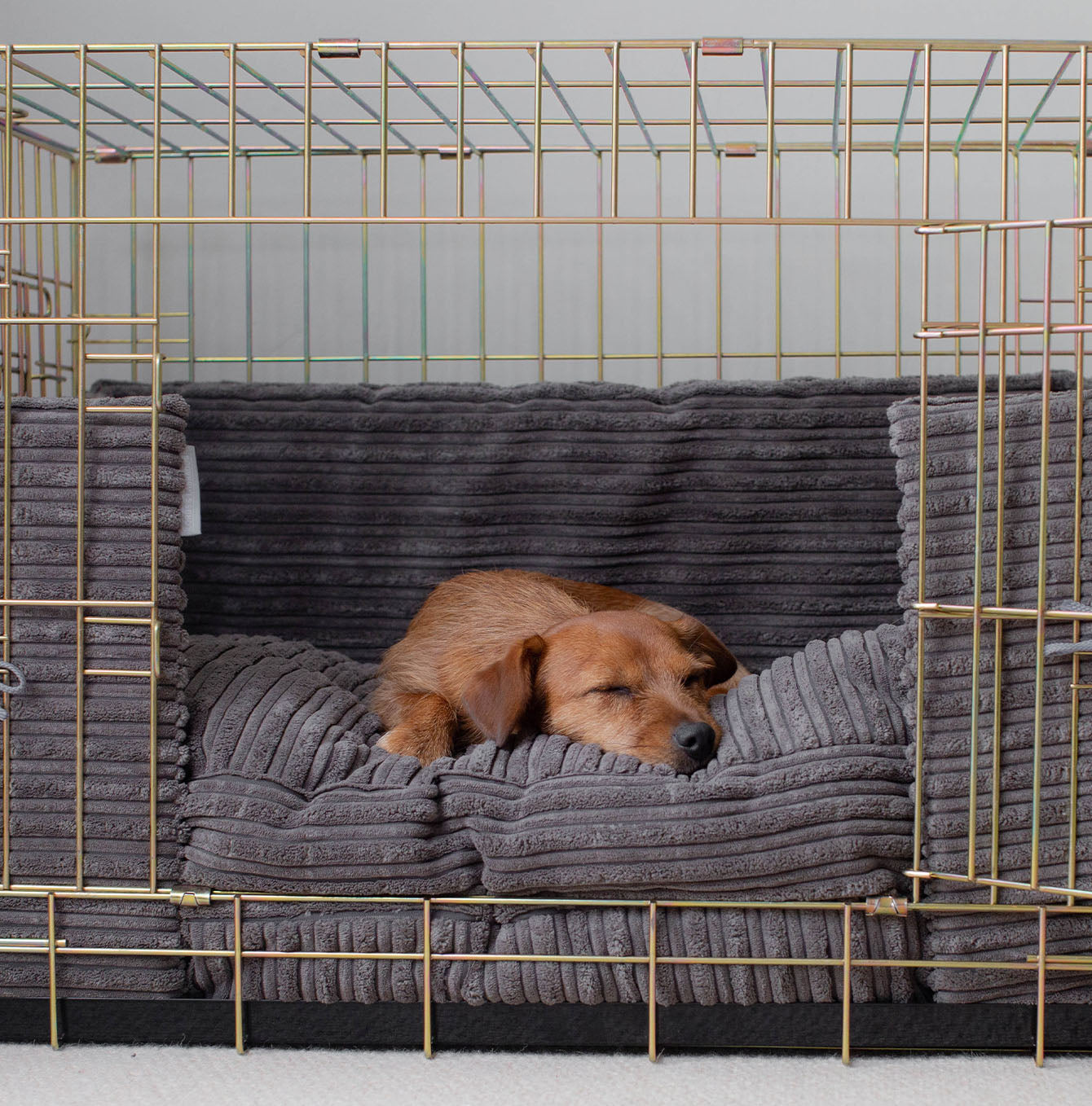 Essentials Cage Bumper in Dark Grey by Lords & Labradors