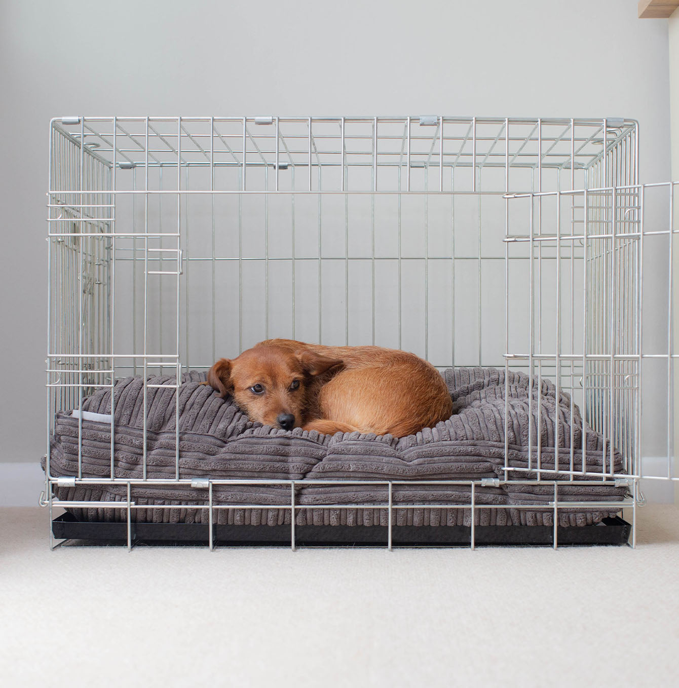 Luxury Dog Cage Cushion, Essentials Plush Cushion in Dark Grey! The Perfect Dog Cage Accessory, Available To Personalize Now at Lords & Labradors US