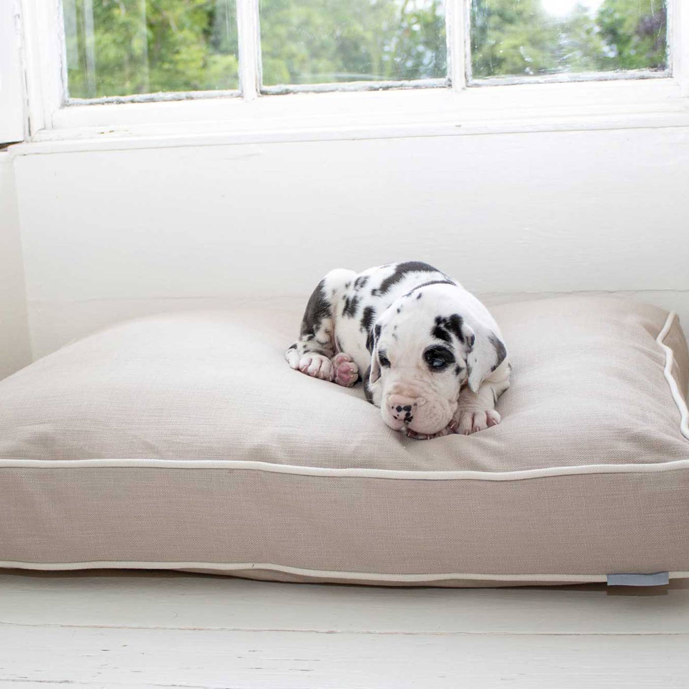 Luxury Dog Cage Cushion in Savanna Oatmeal, part of our savanna collection. The Perfect Dog Cage Accessory, Now Available to Personalize at Lords & Labradors US