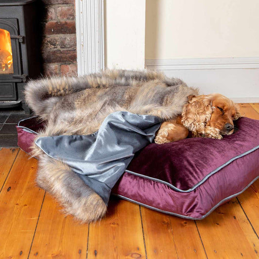 Luxury Velvet Pet Blanket, In Stunning Elephant & Wolf Faux Fur The Perfect Blanket For Dogs, Available To Personalize at Lords & Labradors US