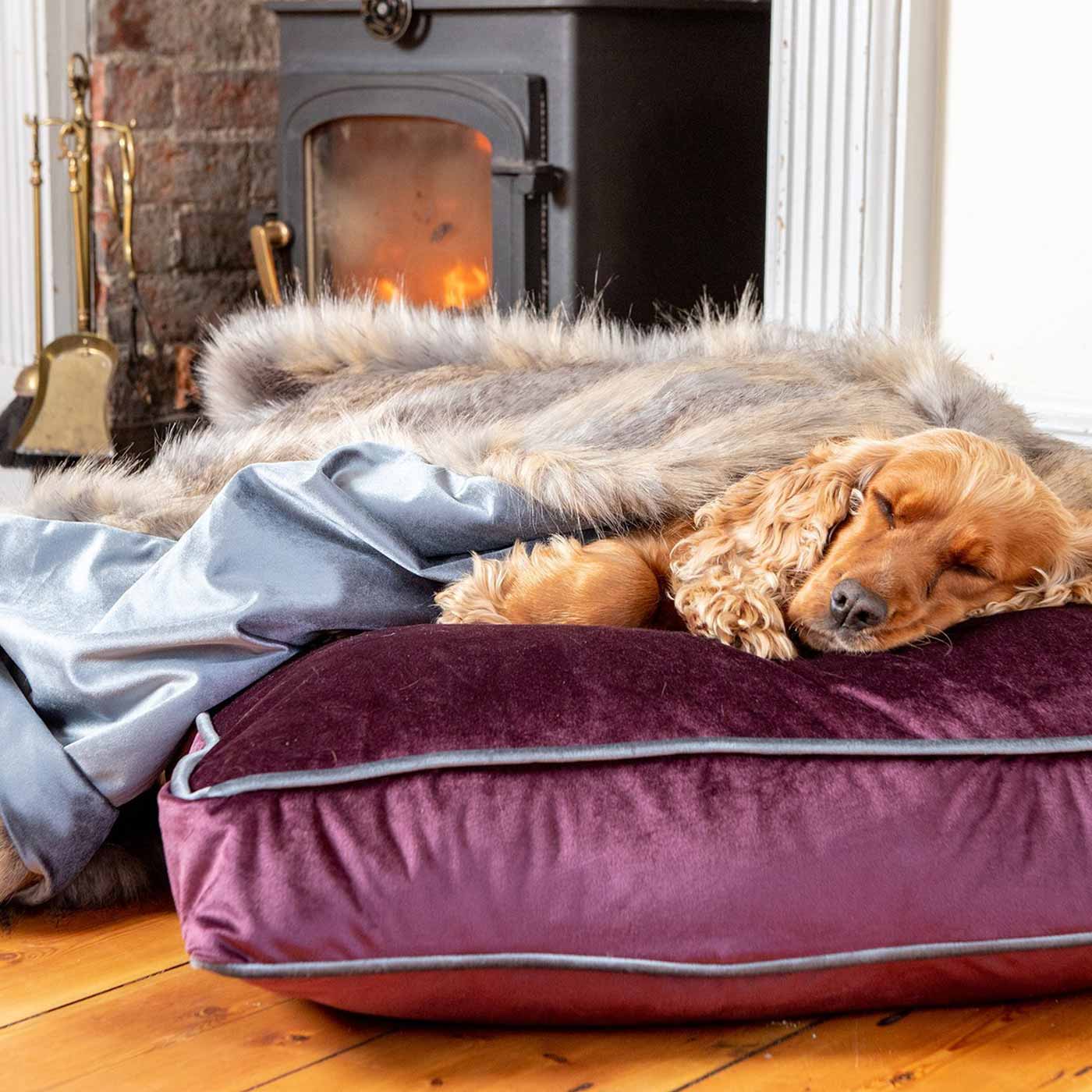 Luxury Velvet Pet Blanket, In Stunning Elephant & Wolf Faux Fur The Perfect Blanket For Dogs, Available To Personalize at Lords & Labradors US