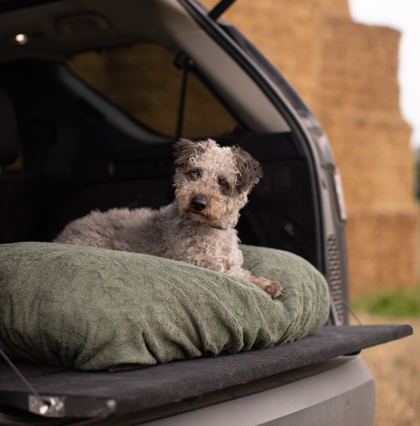 Introducing the ultimate bamboo dog drying cushion cover in beautiful fir green, made from luxurious bamboo to aid sensitive skin featuring elasticated hem for a snug fit with super absorbent material for easy pet drying! Available now at Lords & Labradors US, In three sizes and four colors to suit all breeds!