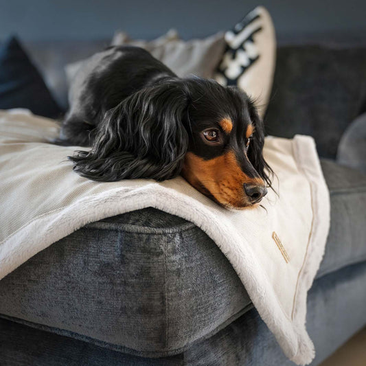 Present your furry friend with our luxuriously thick, plush blanket for your pet. Featuring a reverse side with hardwearing woven fabric handmade in Italy for the perfect high-quality pet blanket! Essentials Twill Blanket In Linen, Available now at Lords & Labradors US