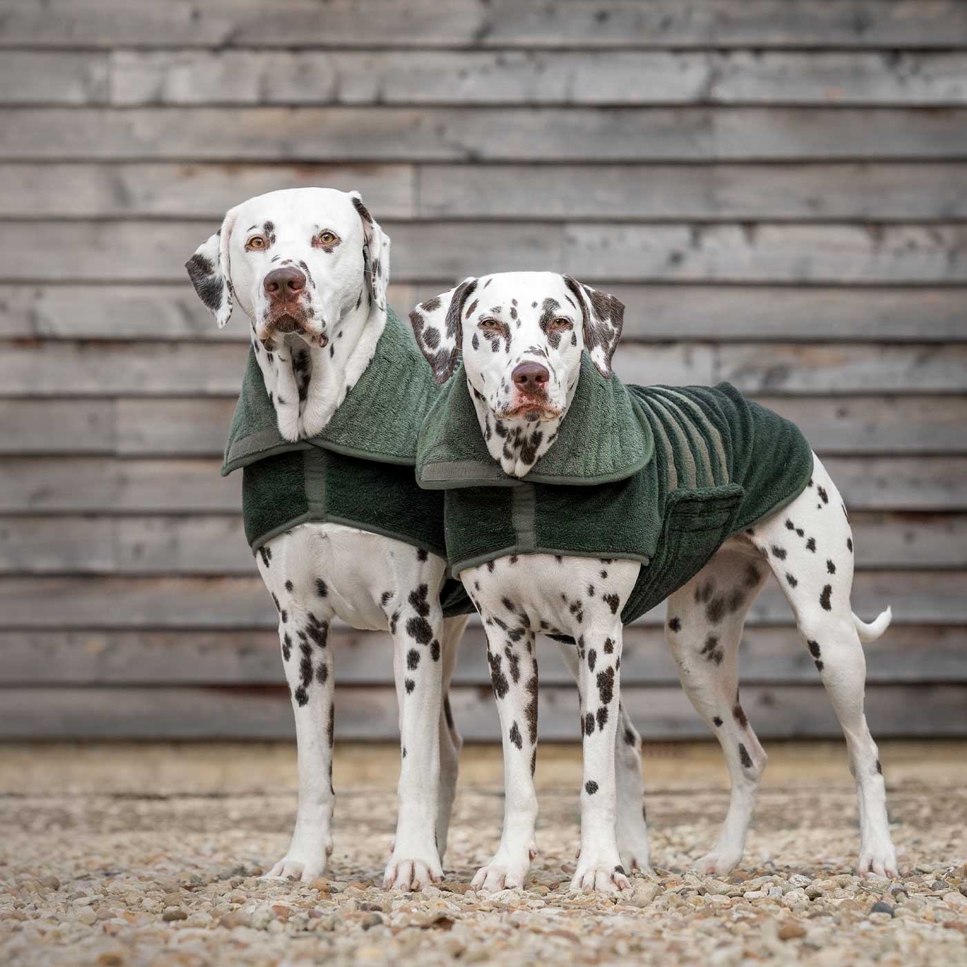 Introducing the ultimate bamboo dog drying coat in beautiful fir green, made from luxurious bamboo to aid sensitive skin featuring adjustable Velcro neck and waist fastening with super absorbent material for easy pet drying! Available now at Lords & Labradors US, In five sizes and four colors to suit all breeds!