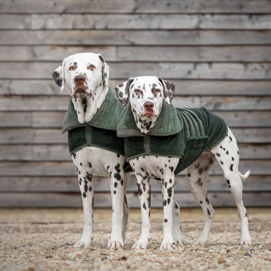 Introducing the ultimate bamboo dog drying coat in beautiful fir green, made from luxurious bamboo to aid sensitive skin featuring adjustable Velcro neck and waist fastening with super absorbent material for easy pet drying! Available now at Lords & Labradors US, In five sizes and four colors to suit all breeds!