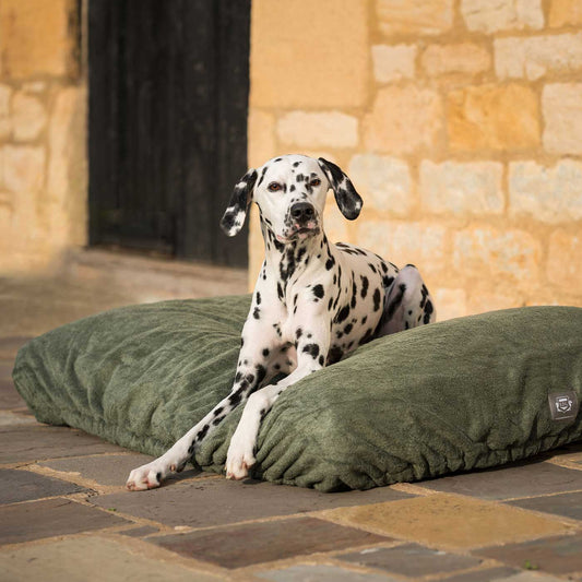 Introducing the ultimate bamboo dog drying cushion cover in beautiful fir green, made from luxurious bamboo to aid sensitive skin featuring elasticated hem for a snug fit with super absorbent material for easy pet drying! Available now at Lords & Labradors US, In three sizes and four colors to suit all breeds!