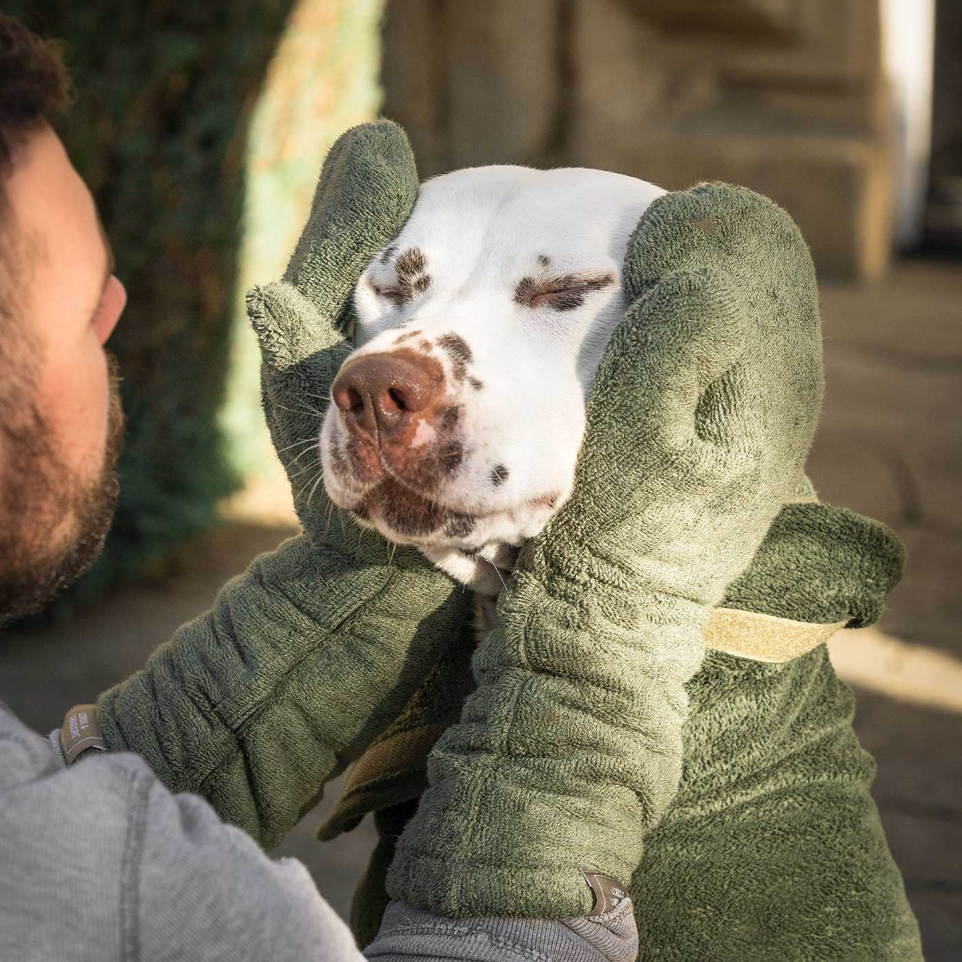 Introducing the ultimate bamboo dog drying mitts in beautiful fir green, made from luxurious bamboo to aid sensitive skin featuring universal size to fit all with super absorbent material for easy pet drying! The perfect dog drying gloves, available now at Lords & Labradors US, In four colors!