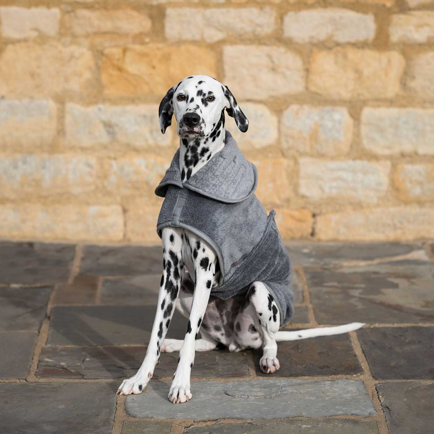 Introducing the ultimate bamboo dog drying coat in beautiful grey Gun Metal, made from luxurious bamboo to aid sensitive skin featuring adjustable Velcro neck and waist fastening with super absorbent material for easy pet drying! Available now at Lords & Labradors US, In five sizes and four colors to suit all breeds!
