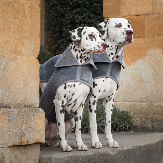 Introducing the ultimate bamboo dog drying coat in beautiful grey Gun Metal, made from luxurious bamboo to aid sensitive skin featuring adjustable Velcro neck and waist fastening with super absorbent material for easy pet drying! Available now at Lords & Labradors US, In five sizes and four colors to suit all breeds!