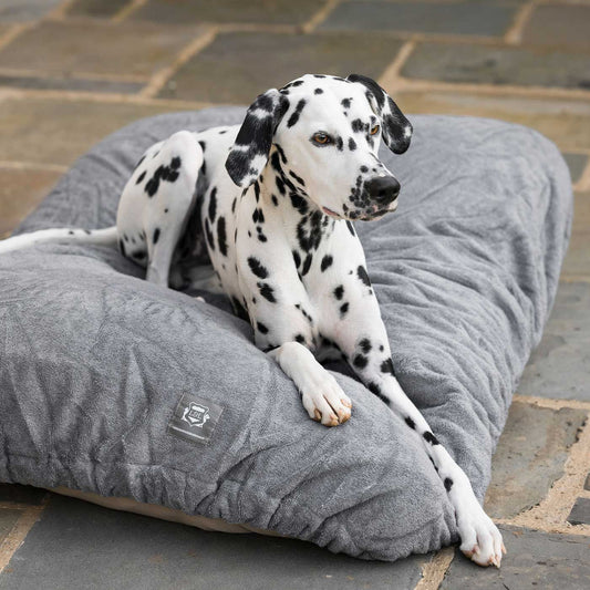 Introducing the ultimate bamboo dog drying cushion cover in beautiful Gun Metal, made from luxurious bamboo to aid sensitive skin featuring elasticated hem for a snug fit with super absorbent material for easy pet drying! Available now at Lords & Labradors US, In three sizes and four colors to suit all breeds!