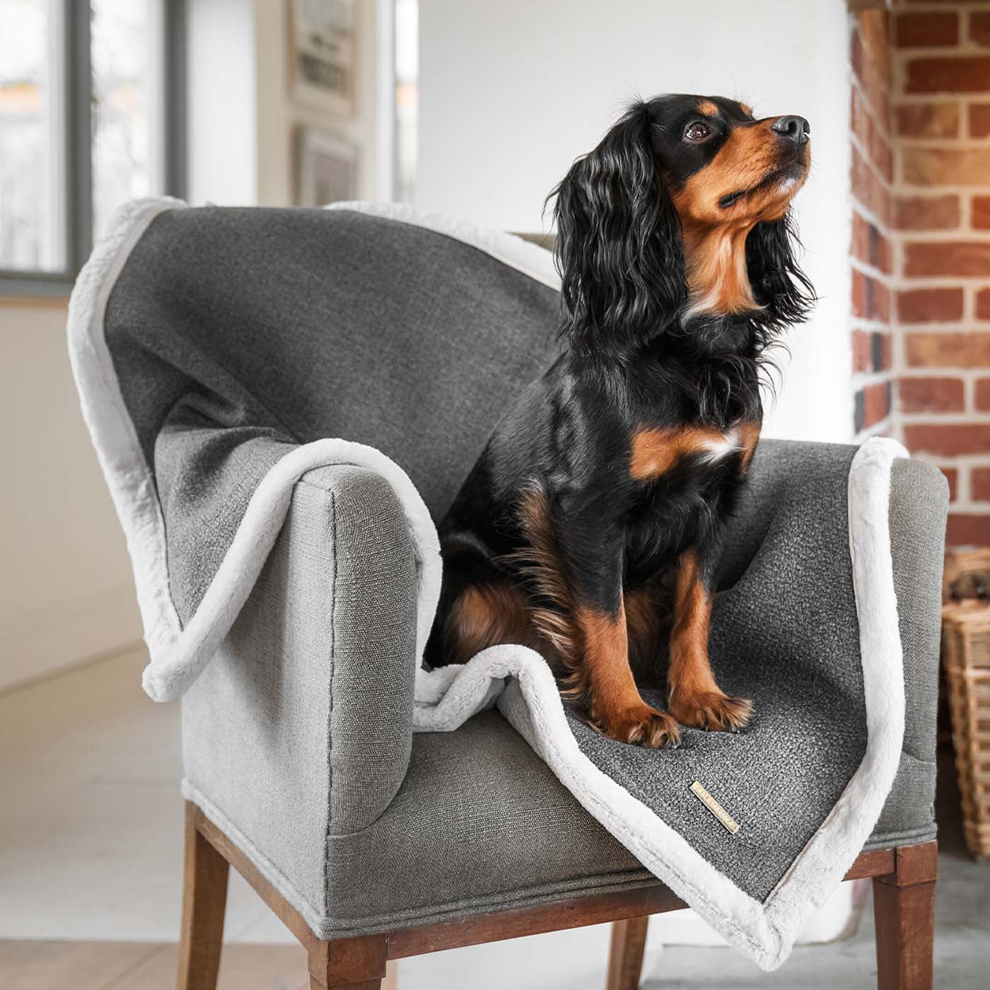 Present your furry friend with our luxuriously thick, plush blanket for your pet. Featuring a reverse side with hardwearing woven fabric handmade in Italy for the perfect high-quality pet blanket! Essentials Herdwick Blanket In Graphite, Available now at Lords & Labradors US