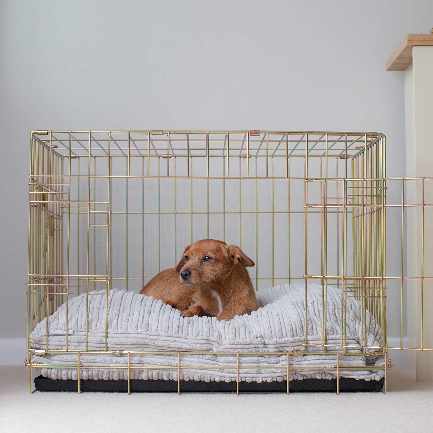 Luxury Dog Cage Cushion, Essentials Plush Cushion in Light Grey! The Perfect Dog Cage Accessory, Available To Personalize Now at Lords & Labradors US