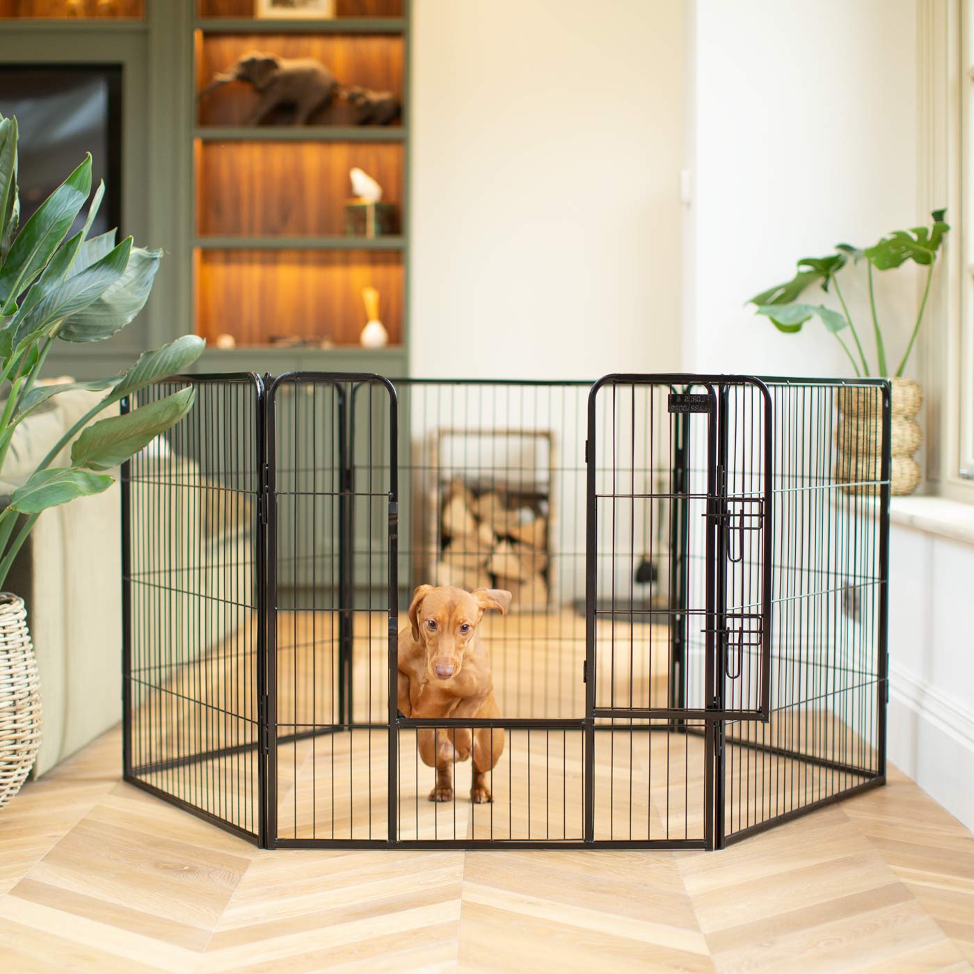 Ensure The Ultimate Puppy Safety with Our Heavy Duty 80cm High Black Metal Play Pen, Crafted to Take Your Pet Right Through Maturity! Powder Coated to Be Extra Hardwearing! 6 panels that are 80cm high and attachments to connect to any Cage. The modular system allows you to change the puppy pen shape with multiple layouts! Available To Now at Lords & Labradors US