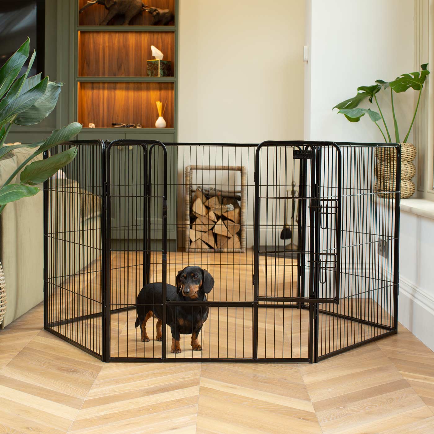 80cm High Puppy Play Pen in Black by Lords Labradors