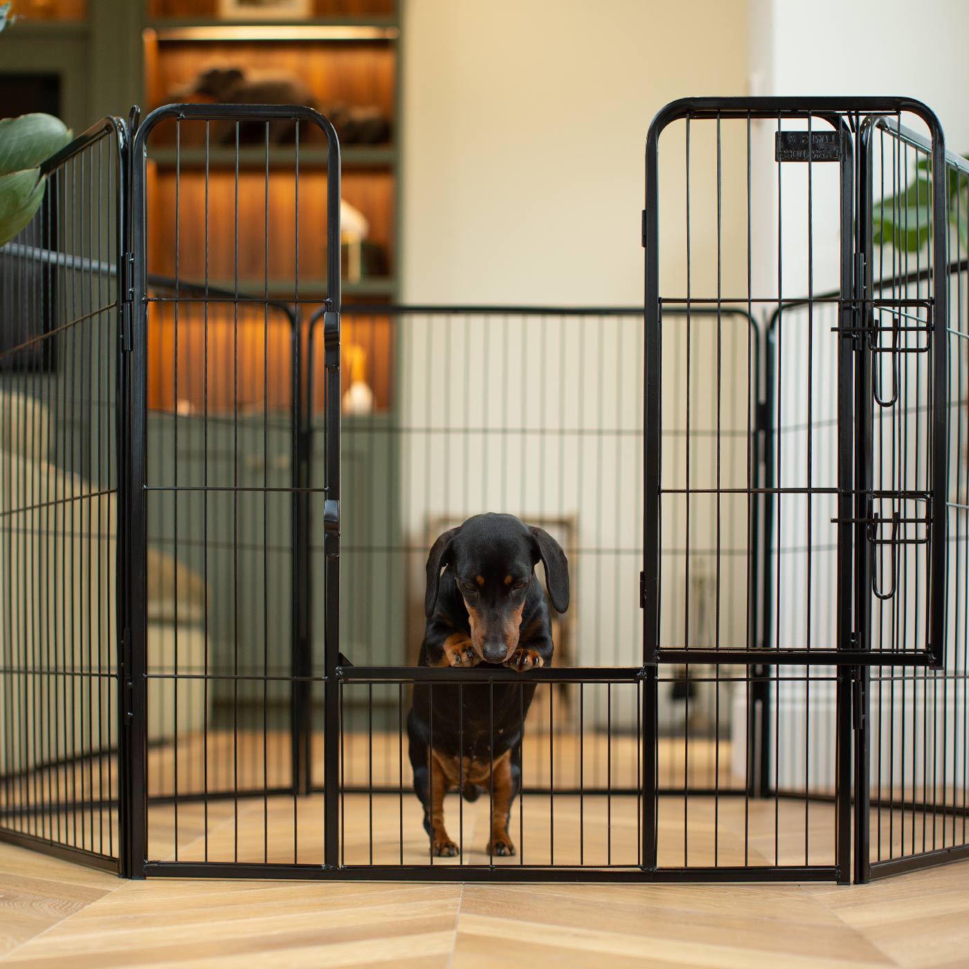 Ensure The Ultimate Puppy Safety with Our Heavy Duty 80cm High Black Metal Play Pen, Crafted to Take Your Pet Right Through Maturity! Powder Coated to Be Extra Hardwearing! 6 panels that are 80cm high and attachments to connect to any Cage. The modular system allows you to change the puppy pen shape with multiple layouts! Available To Now at Lords & Labradors US