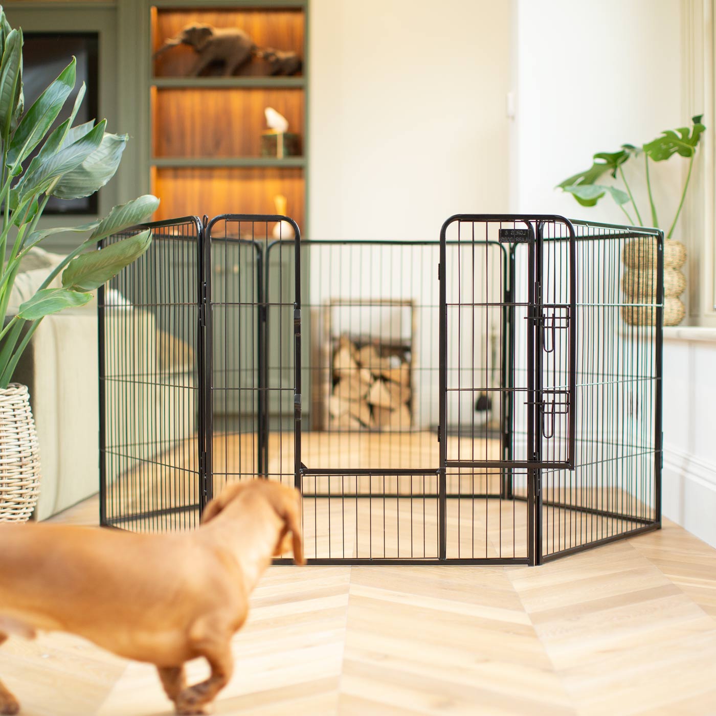 Ensure The Ultimate Puppy Safety with Our Heavy Duty 80cm High Black Metal Play Pen, Crafted to Take Your Pet Right Through Maturity! Powder Coated to Be Extra Hardwearing! 6 panels that are 80cm high and attachments to connect to any Cage. The modular system allows you to change the puppy pen shape with multiple layouts! Available To Now at Lords & Labradors US