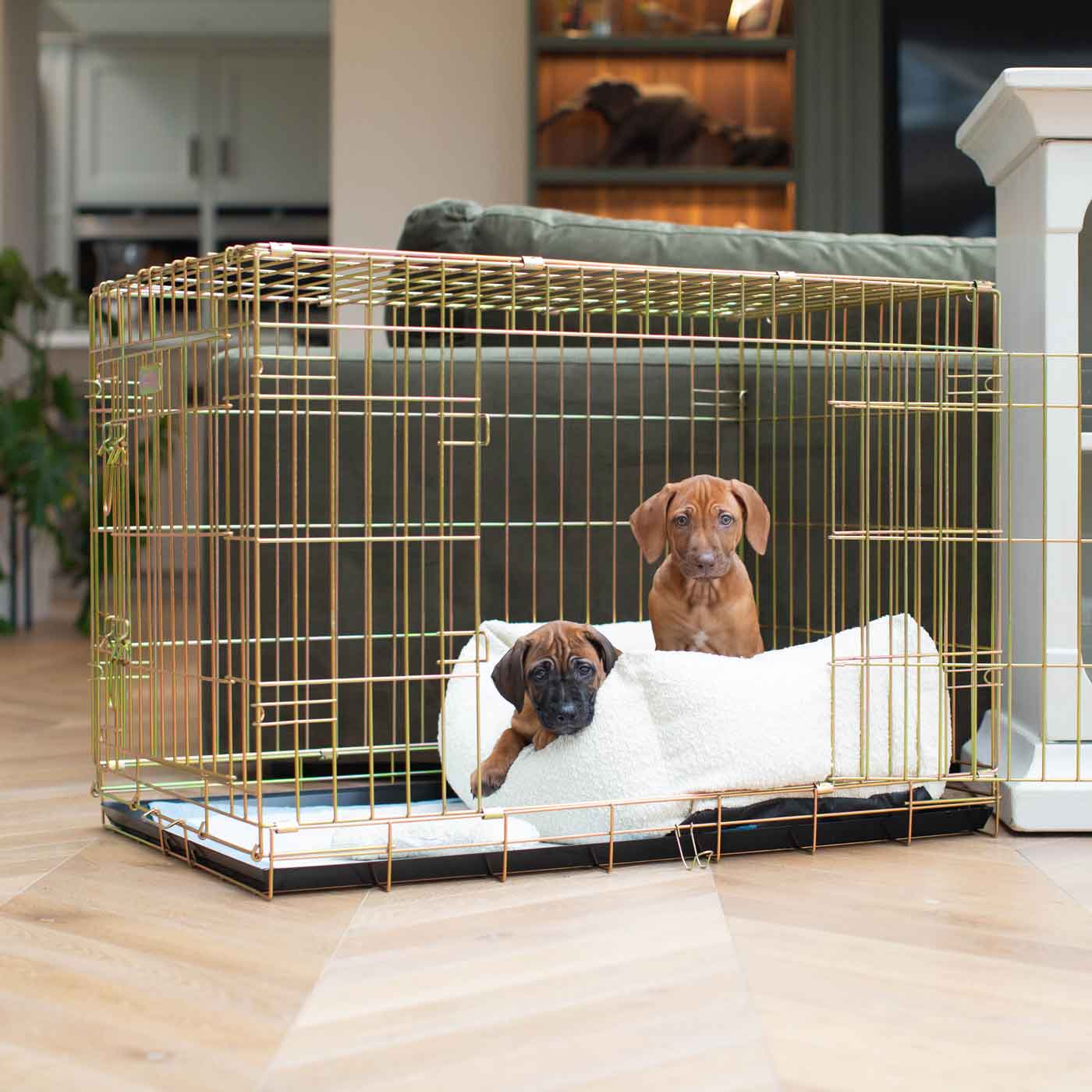 Cozy & Calm Puppy Cage Bed, The Perfect Dog Cage Accessory For The Ultimate Dog Den! In Stunning Ivory Boucle! Available Now at Lords & Labradors US