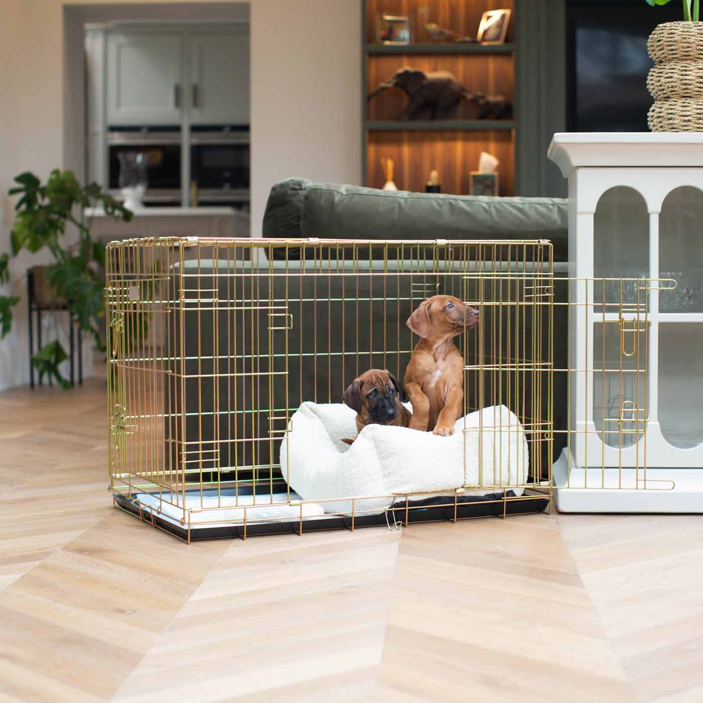 Cozy & Calm Puppy Cage Bed, The Perfect Dog Cage Accessory For The Ultimate Dog Den! In Stunning Ivory Boucle! Available Now at Lords & Labradors US
