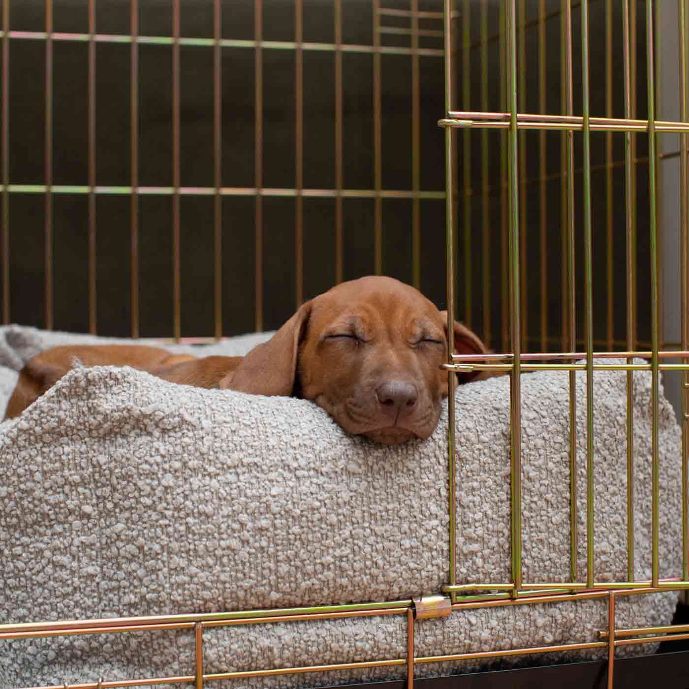 Discover Our Luxury Heavy-Duty Gold Dog Cage With Mink Bouclé Cozy & Calming Puppy Cage Bed Set! The Perfect Cage Bed For Pet Burrow. Available To Personalize Here at Lords & Labradors US