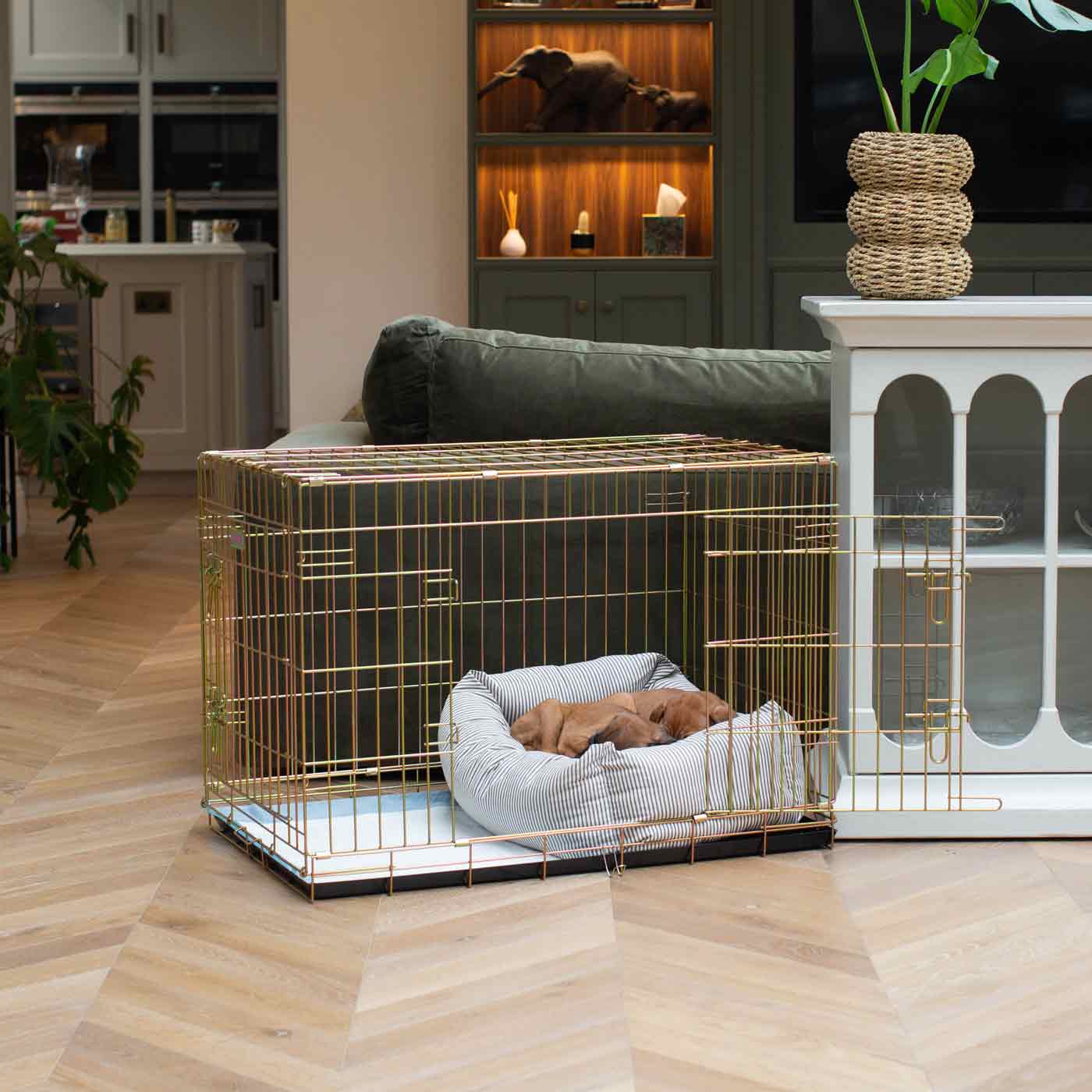 Luxury Gold Dog Cage With Cozy & Calm Puppy Cage Dog Bed, In Regency Stripe. The Perfect Dog Crate For The Ultimate Naptime, Available Now at Lords & Labradors US