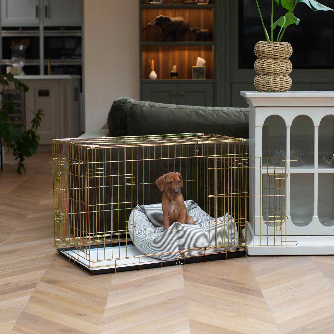Luxury Gold Dog Cage With Cozy & Calm Puppy Cage Dog Bed, In Regency Stripe. The Perfect Dog Crate For The Ultimate Naptime, Available Now at Lords & Labradors US