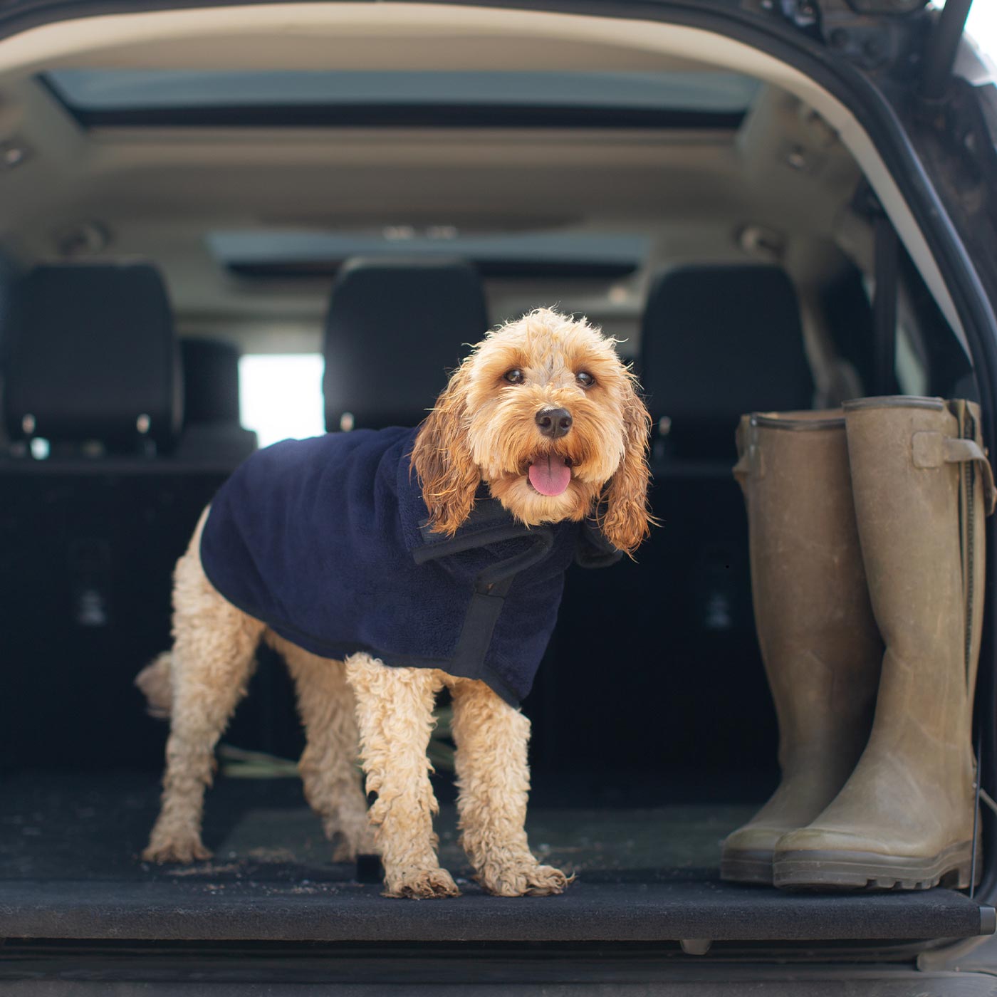 Discover the perfect dog drying with our bamboo dog drying coat in Navy The ideal choice for pet drying after walking and bath-time. Made using luxurious bamboo to aid sensitive skin! Available to personalize now at Lords & Labradors US, in 5 sizes and 4 beautiful colors