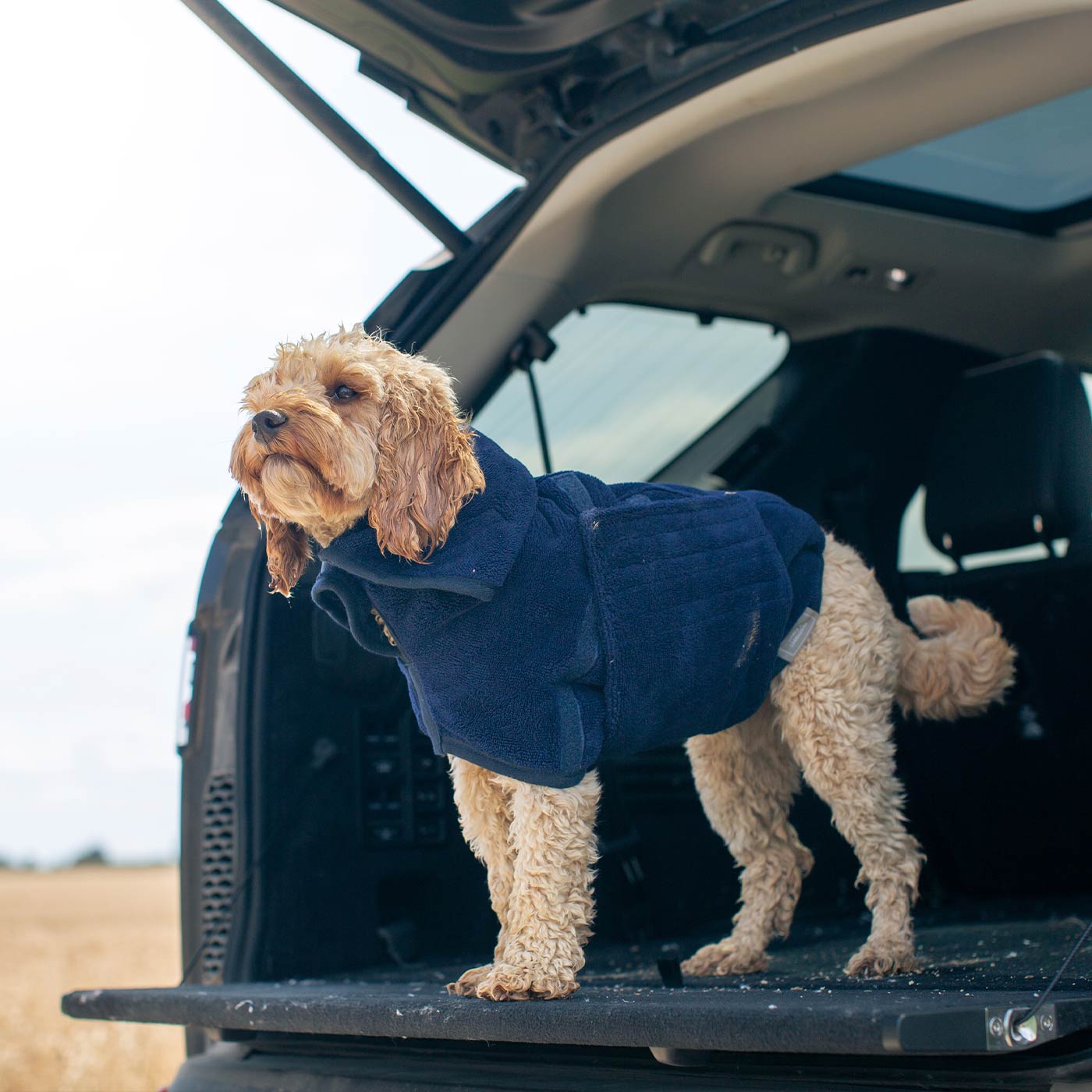 Discover the perfect dog drying with our bamboo dog drying coat in Navy The ideal choice for pet drying after walking and bath-time. Made using luxurious bamboo to aid sensitive skin! Available to personalize now at Lords & Labradors US, in 5 sizes and 4 beautiful colors