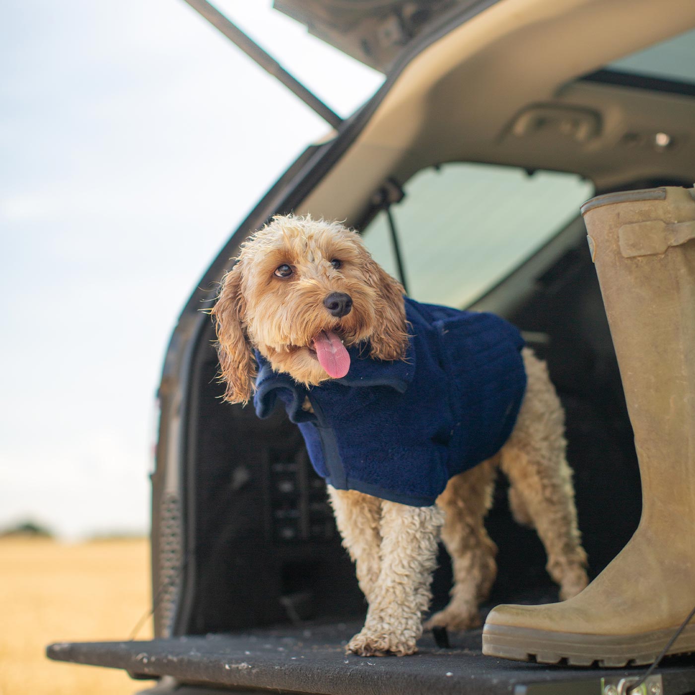 Discover the perfect dog drying with our bamboo dog drying coat in Navy The ideal choice for pet drying after walking and bath-time. Made using luxurious bamboo to aid sensitive skin! Available to personalize now at Lords & Labradors US, in 5 sizes and 4 beautiful colors