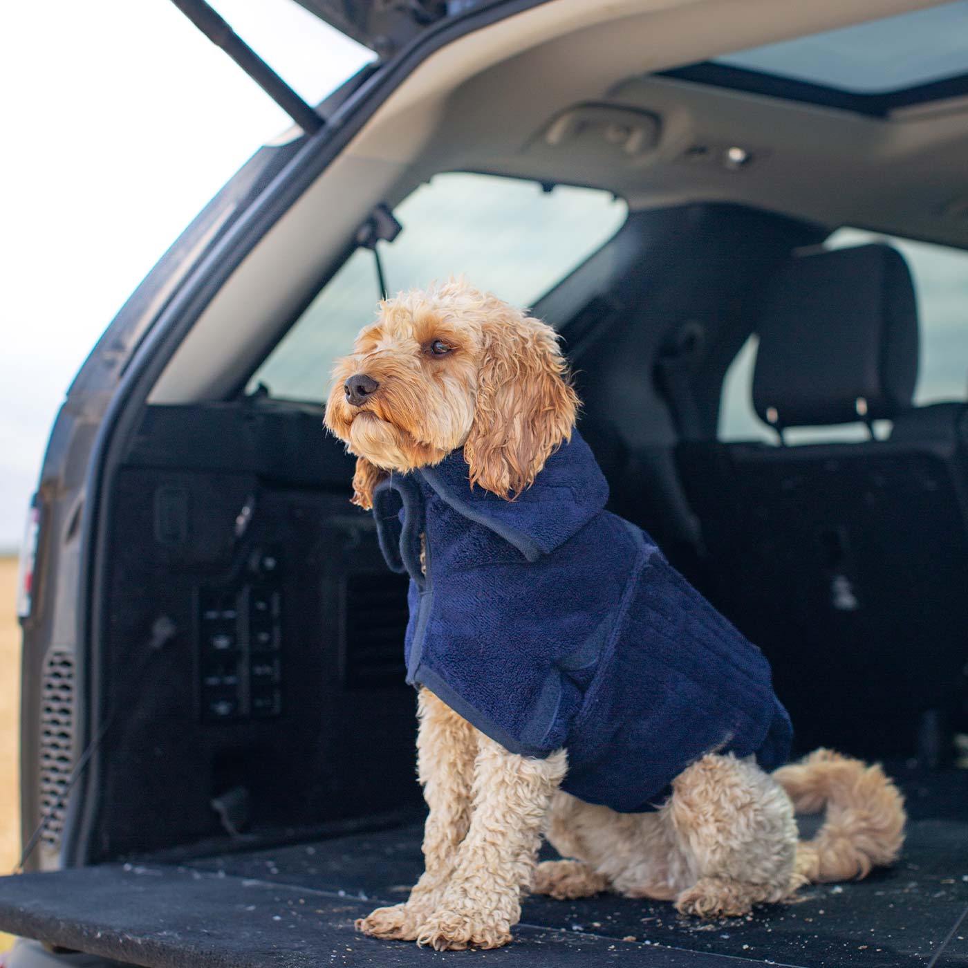 Discover the perfect dog drying with our bamboo dog drying coat in Navy The ideal choice for pet drying after walking and bath-time. Made using luxurious bamboo to aid sensitive skin! Available to personalize now at Lords & Labradors US, in 5 sizes and 4 beautiful colors
