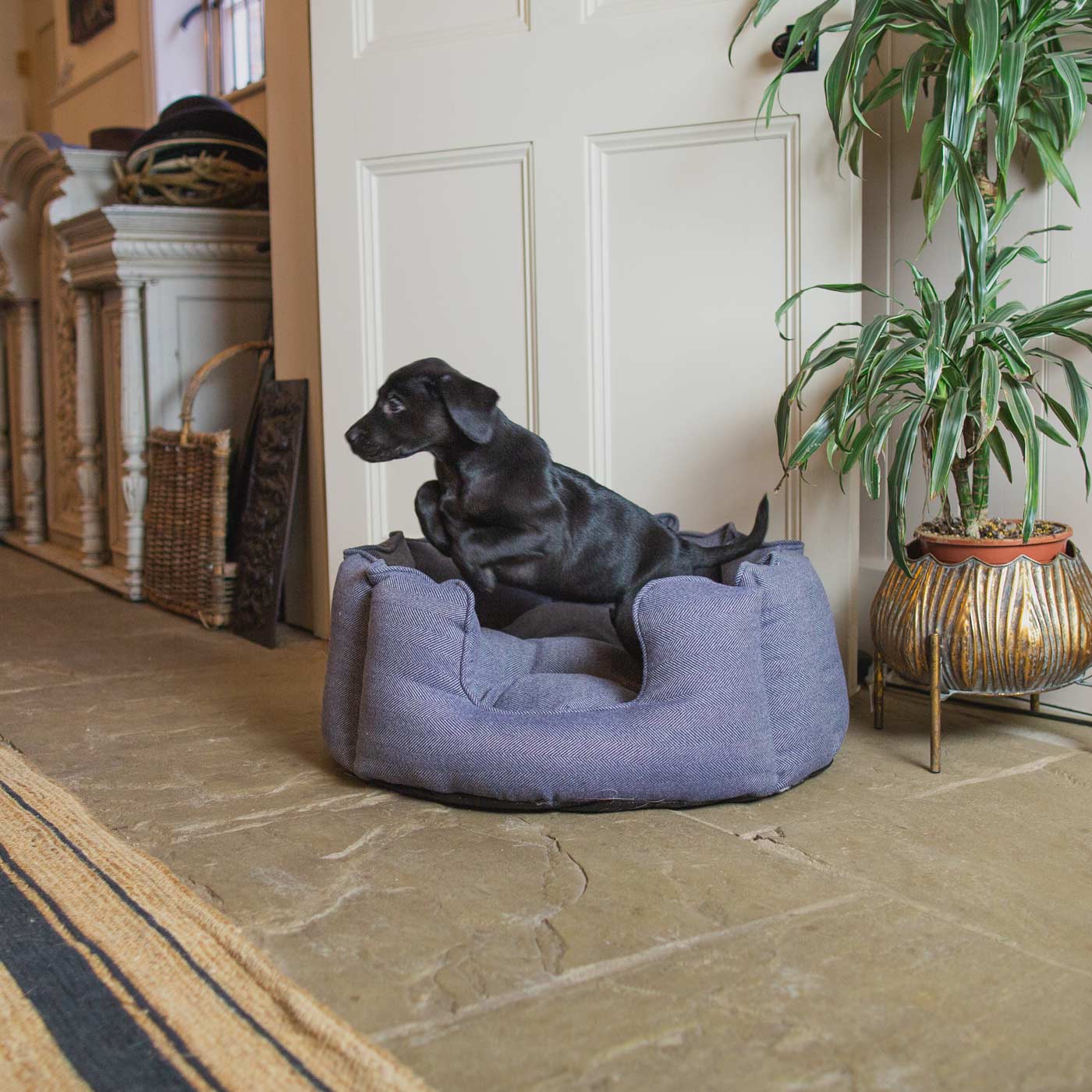 [color:oxford herringbone] Discover Our Luxurious High Wall Bed For Dogs, Featuring inner pillow with plush teddy fleece on one side To Craft The Perfect Dogs Bed In Stunning Oxford Herringbone Tweed! Available To Personalize Now at Lords & Labradors US
