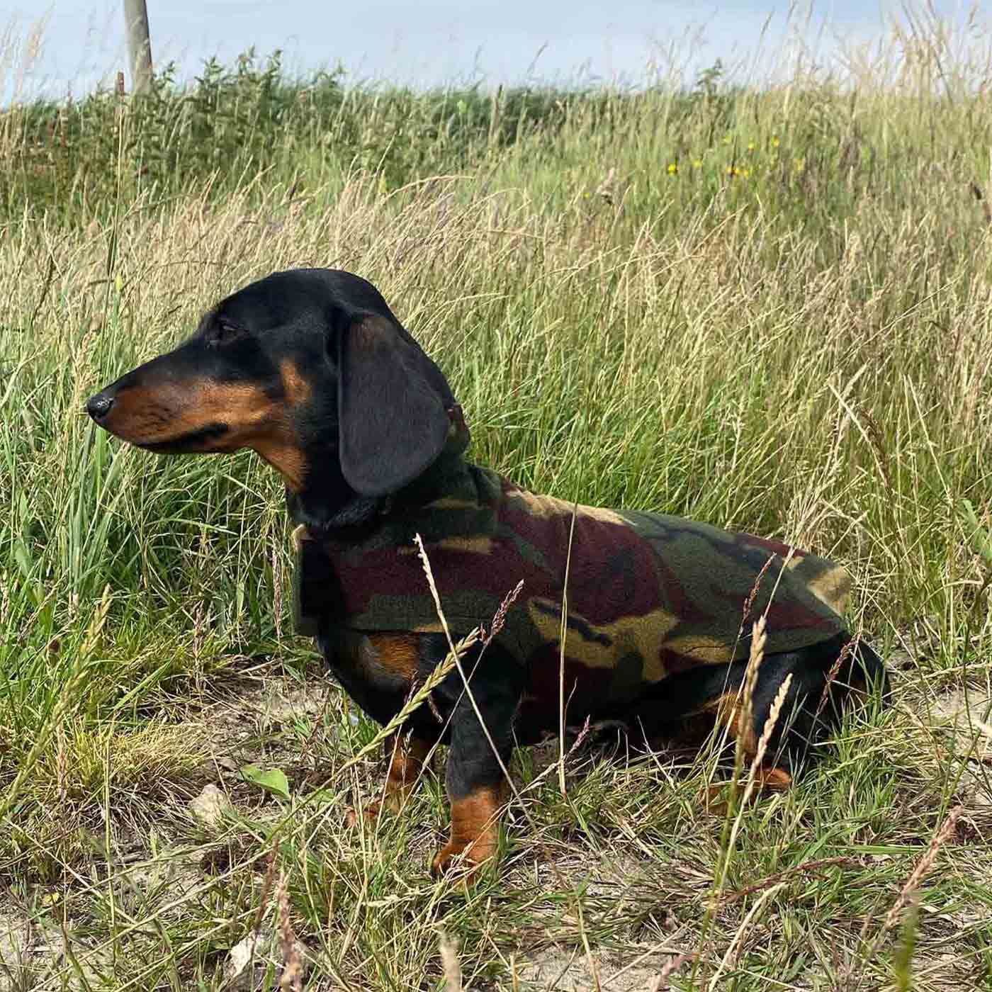 [color:camo] Accessorize Your Pet, With Our Stunning Dachshund Fleece, in Camo! Comes In five Size, And Totally Machine Washable, Available To Personalize Now at Lords & Labradors US