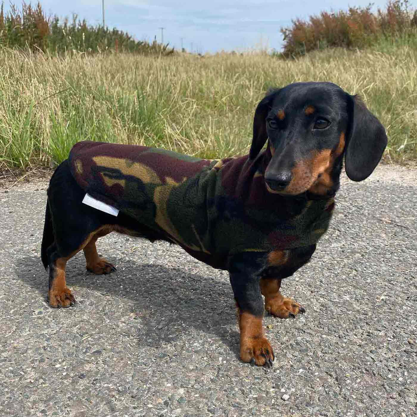 [color:camo] Accessorize Your Pet, With Our Stunning Dachshund Fleece, in Camo! Comes In five Size, And Totally Machine Washable, Available To Personalize Now at Lords & Labradors US