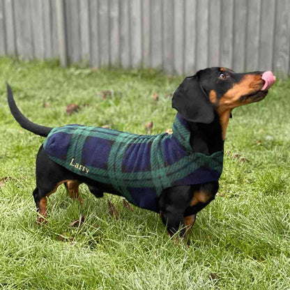 [color:green tartan] Accessorize Your Pet, With Our Stunning Dachshund Fleece, in Green Tartan! Comes In five Size, And Totally Machine Washable, Available To Personalize Now at Lords & Labradors US