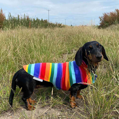 [color:rainbow]Accessorize Your Pet, With Our Stunning Dachshund Fleece, in Rainbow! Comes In five Size, And Totally Machine Washable, Available To Personalize Now at Lords & Labradors US