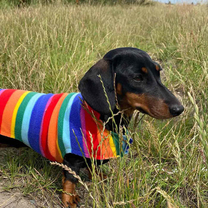 [color:rainbow] Accessorize Your Pet, With Our Stunning Dachshund Fleece, in Rainbow! Comes In five Size, And Totally Machine Washable, Available To Personalize Now at Lords & Labradors US