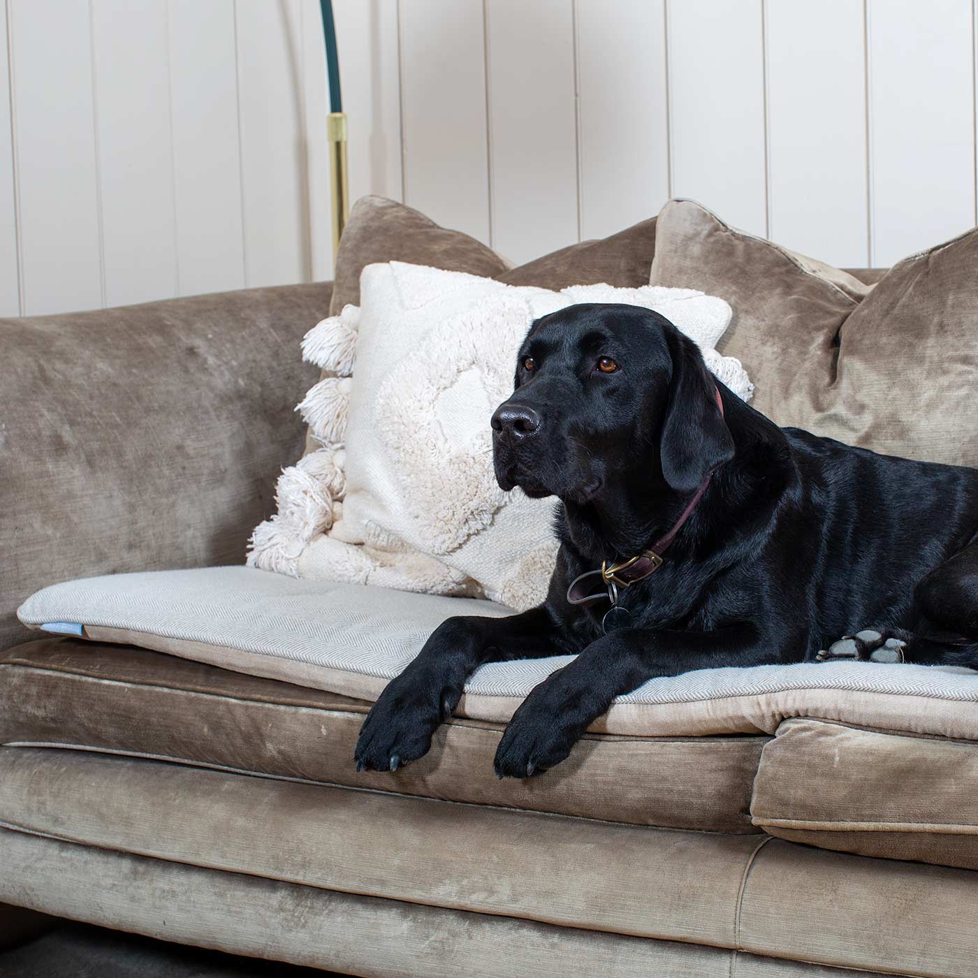 Discover Our Luxury Herringbone couch Topper, The Perfect Pet couch Accessory In Stunning Natural Herringbone Tweed! Available Now at Lords & Labradors US