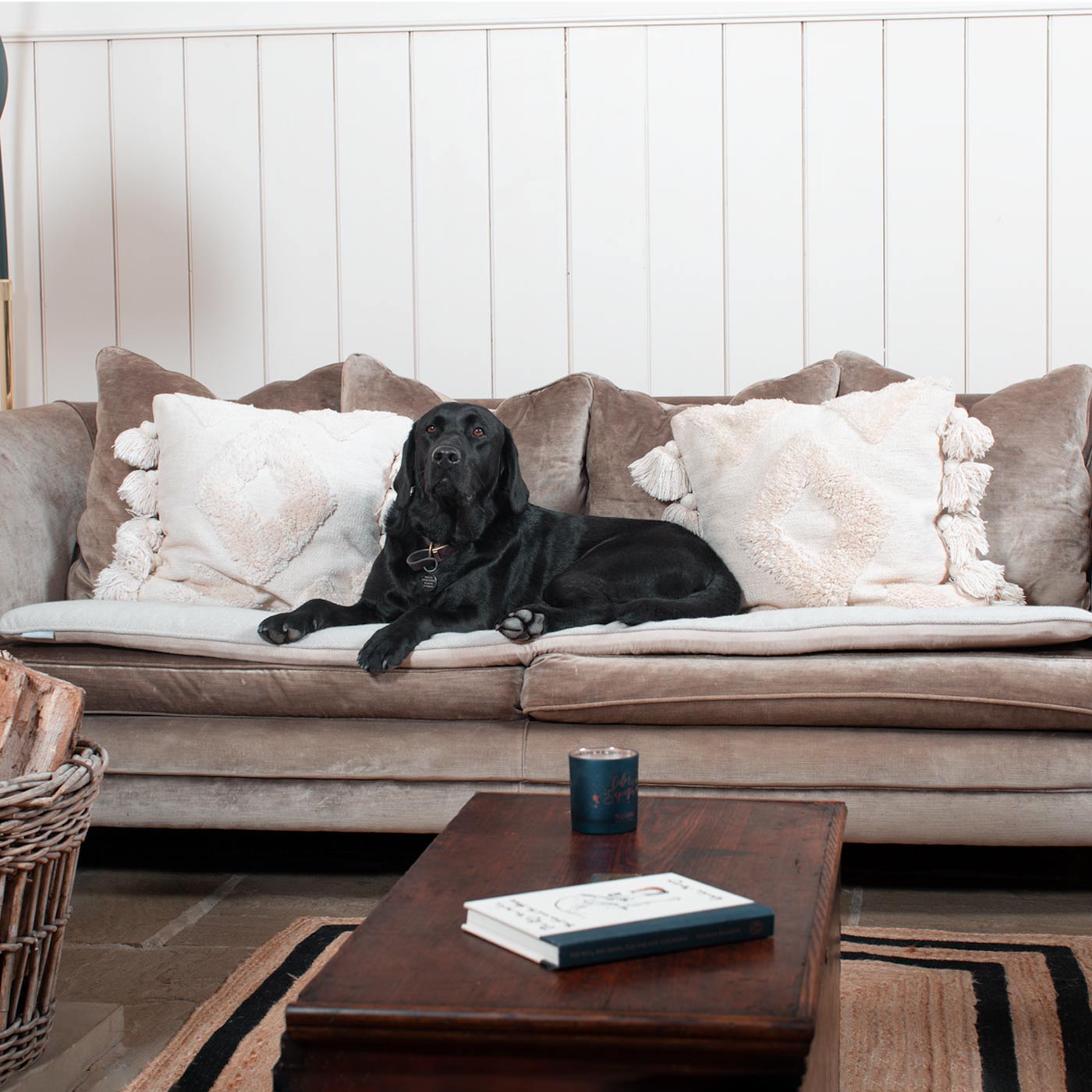 Discover Our Luxury Herringbone couch Topper, The Perfect Pet couch Accessory In Stunning Natural Herringbone Tweed! Available Now at Lords & Labradors US