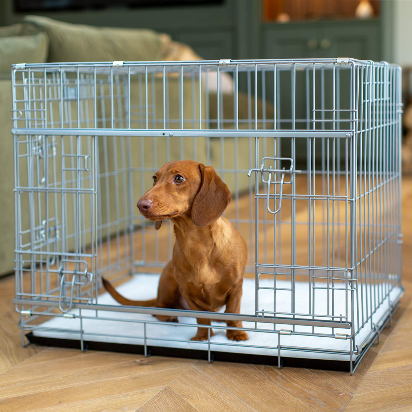 Discover the perfect deluxe heavy duty silver dog cage, featuring two doors for easy access and a removable tray for easy cleaning! The ideal choice to keep new puppies safe, made using pet safe galvanised steel! Available now in 3 sizes at Lords & Labradors US