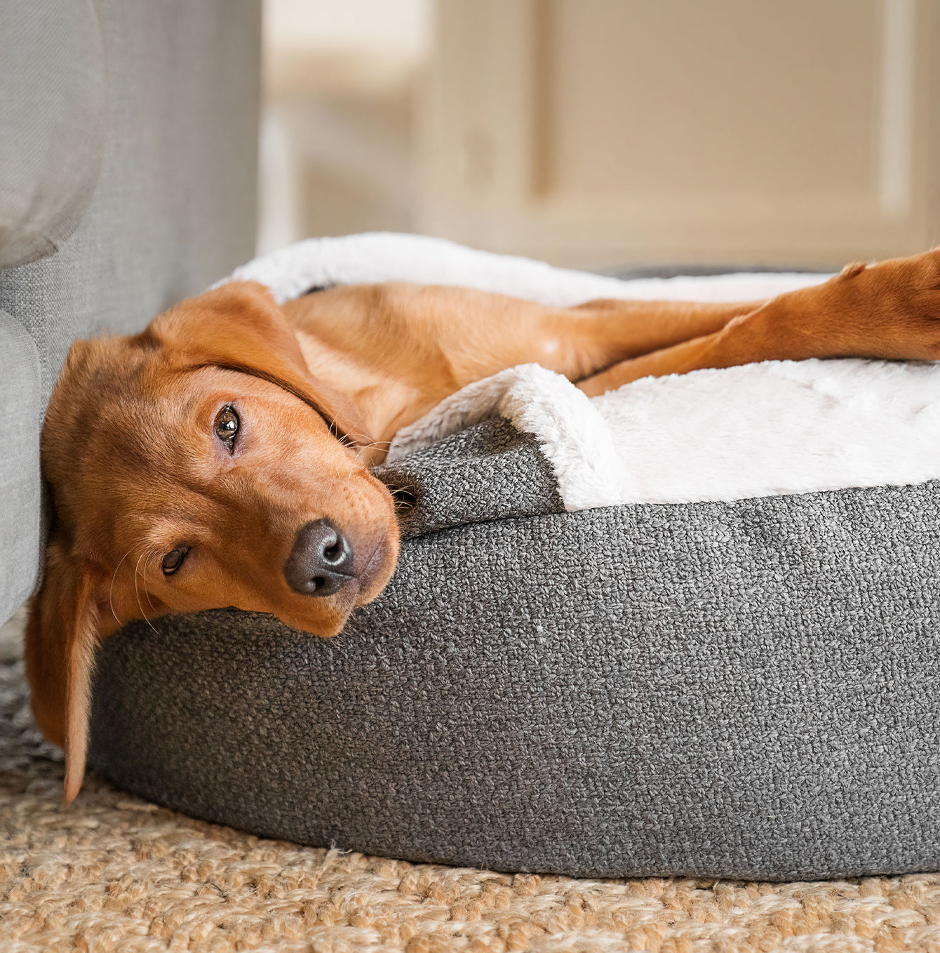 Discover This Luxurious Dog Den, Made Using Beautiful Herdwick Fabric To Craft The Perfect Den For Dogs! In Stunning Graphite, Available Now at Lords & Labradors US