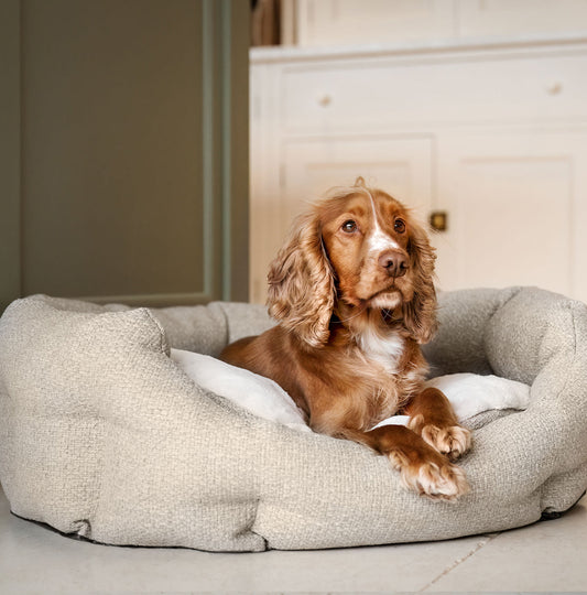 Discover our luxury Herdwick oval dog bed in beautiful sandstone, the ideal choice for dogs to enjoy blissful nap-time, featuring reversible inner cushion with raised sides for dogs who love to rest their head for the ultimate cosiness! Handcrafted in Italy for pure pet luxury! Available now at Lords & Labradors US