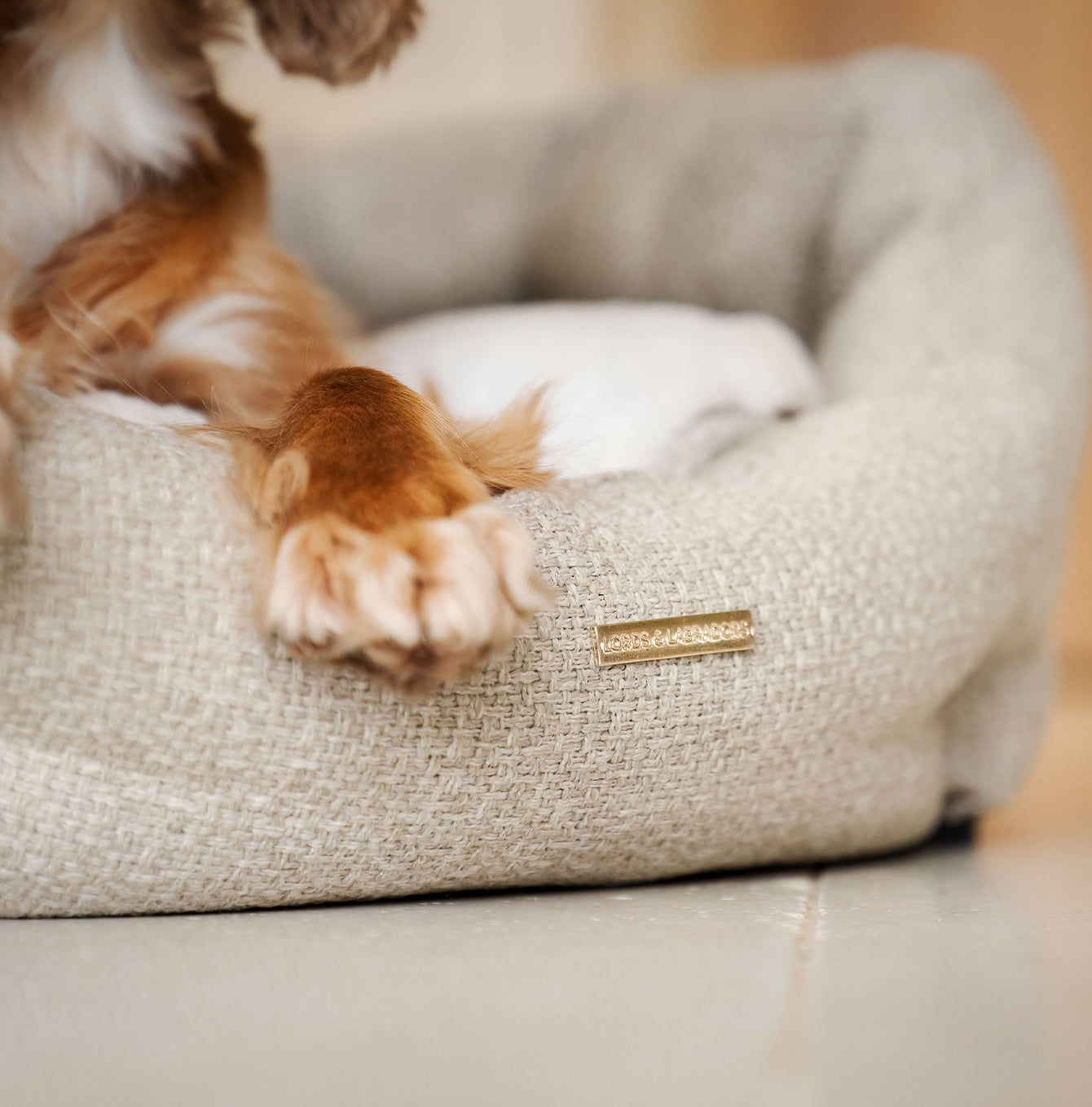 Discover our luxury Herdwick oval dog bed in beautiful sandstone, the ideal choice for dogs to enjoy blissful nap-time, featuring reversible inner cushion with raised sides for dogs who love to rest their head for the ultimate cosiness! Handcrafted in Italy for pure pet luxury! Available now at Lords & Labradors US