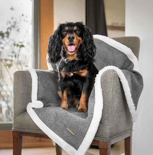 Present your furry friend with our luxuriously thick, plush blanket for your pet. Featuring a reverse side with hardwearing woven fabric handmade in Italy for the perfect high-quality pet blanket! Essentials Herdwick Blanket In Graphite, Available now at Lords & Labradors US