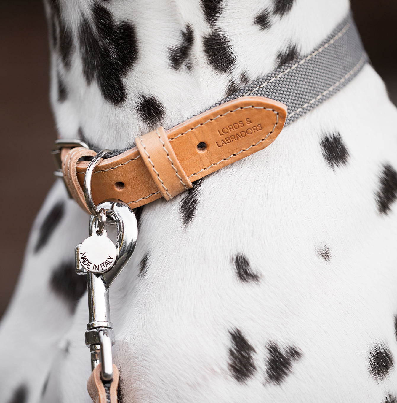 Discover dog walking luxury with our handcrafted Italian dog collar in beautiful essentials twill grey slate with grey fabric! The perfect collar for dogs available now at Lords & Labradors US