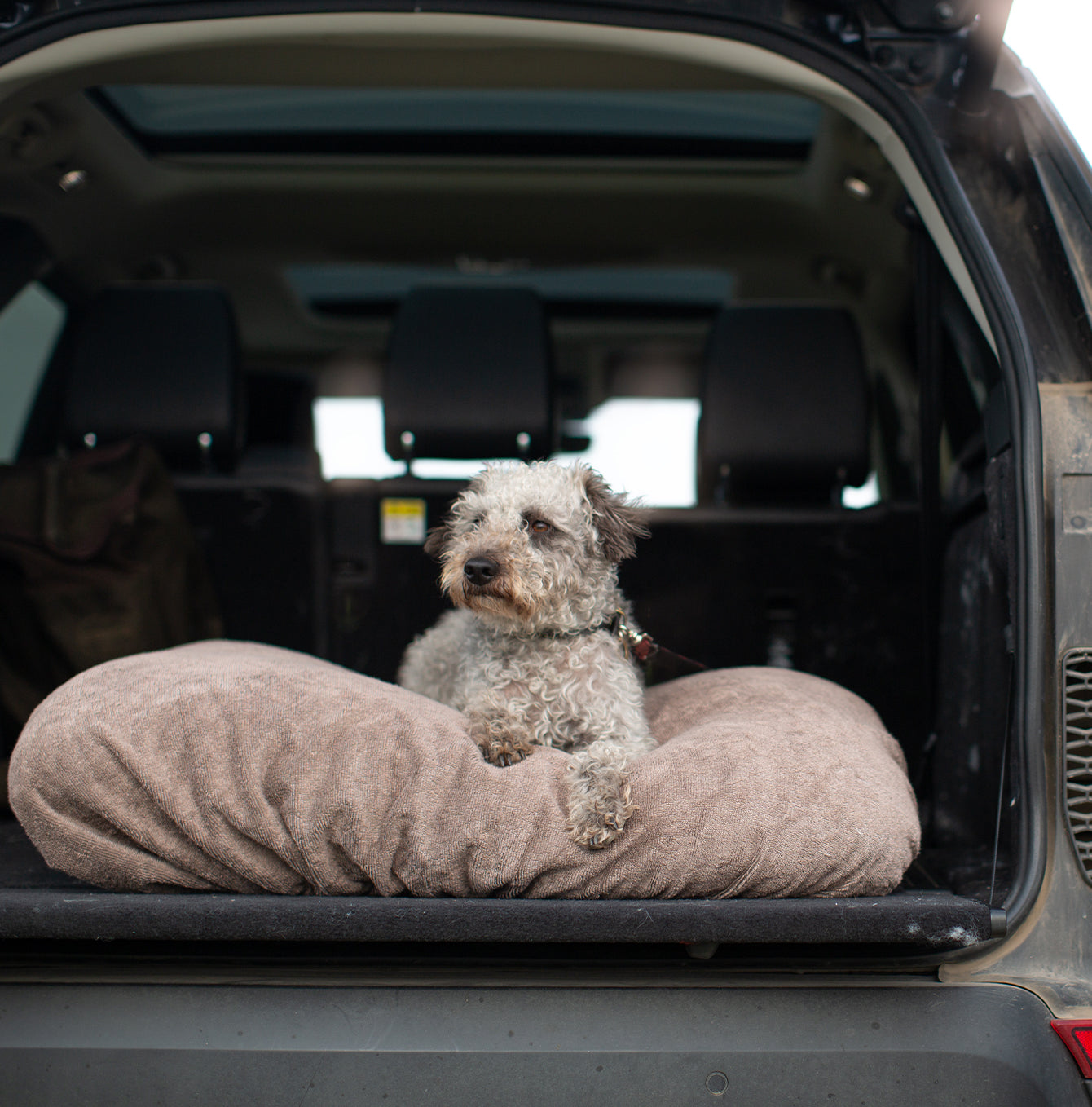 Introducing the ultimate bamboo dog drying cushion cover in beautiful Mole (Brown), made from luxurious bamboo to aid sensitive skin featuring elasticated hem for a snug fit with super absorbent material for easy pet drying! Available now at Lords & Labradors In three sizes and four colors to suit all breeds!