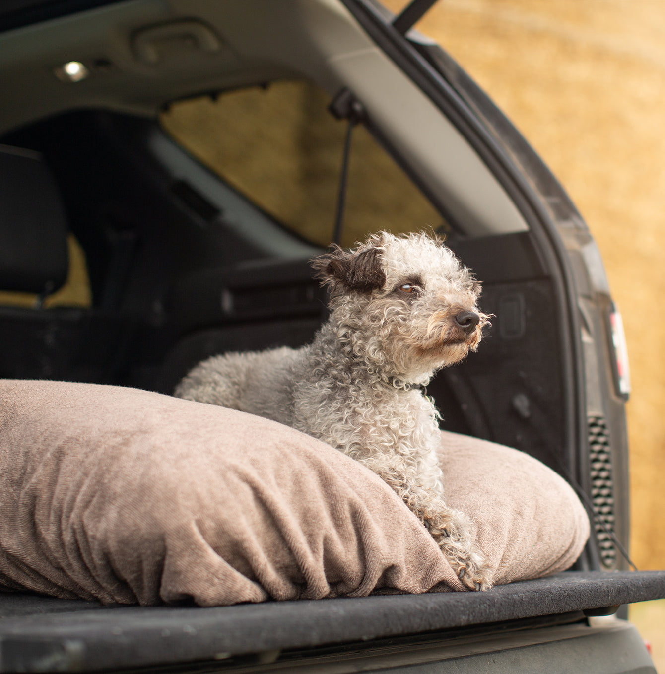 Introducing the ultimate bamboo dog drying cushion cover in beautiful Mole (Brown), made from luxurious bamboo to aid sensitive skin featuring elasticated hem for a snug fit with super absorbent material for easy pet drying! Available now at Lords & Labradors In three sizes and four colors to suit all breeds!