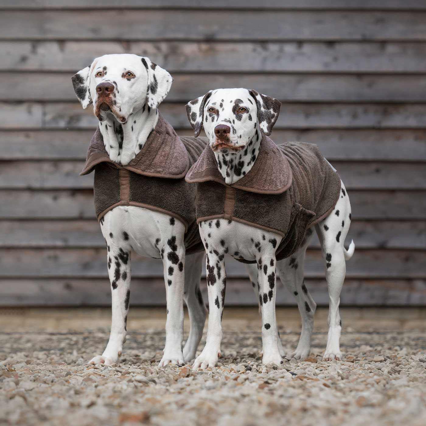 Discover the perfect dog drying with our bamboo dog drying coat in Mole (Brown) The ideal choice for pet drying after walking and bath-time. Made using luxurious bamboo to aid sensitive skin! Available to personalize now at Lords & Labradors US, in 5 sizes and 4 beautiful colors!