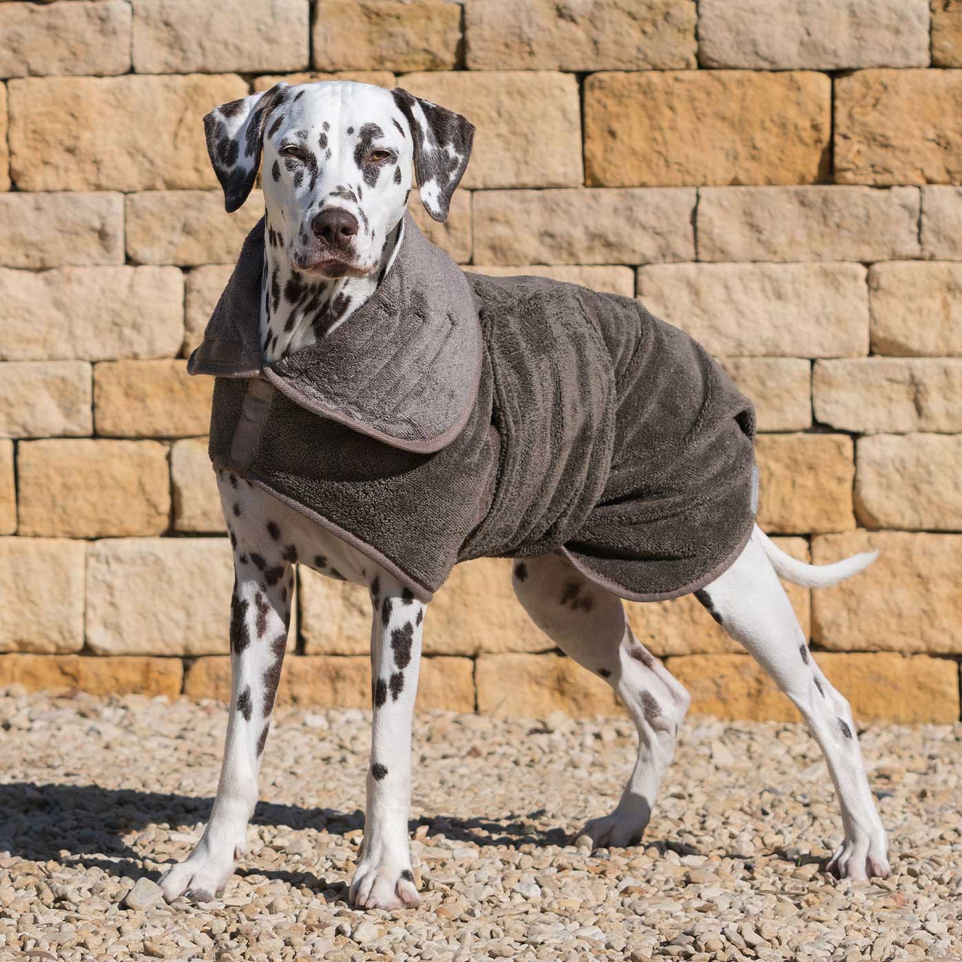 Discover the perfect dog drying with our bamboo dog drying coat in Mole (Brown) The ideal choice for pet drying after walking and bath-time. Made using luxurious bamboo to aid sensitive skin! Available to personalize now at Lords & Labradors US, in 5 sizes and 4 beautiful colors!